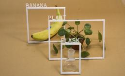 A banana, a plant and a flask on a monochrome surface, each one surrounded by a thin white frame with letters attached that spell the name of the objects