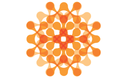 decoration only: orange flower graphic