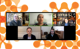 Screenshot from Zoom with Raman, Schulz, Verdirame, Moyn and Tasioulas-