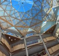 Schwarzman Centre for the Humanities Roof view