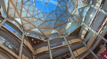 Schwarzman Centre for the Humanities Roof view